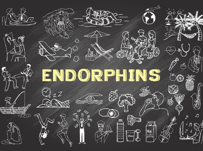 5 Fungsi Hormon Endorfin Bagi Tubuh Manusia (1)