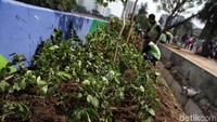 Berbagai jenis tanaman hias menambah suasana menjadi sejuk.