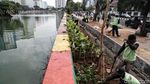 Tanaman Hias Percantik Danau Sunter