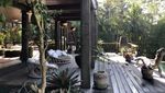 Yuk Intip Rumah Bernuansa Tropis Bali Karya Arsitek Jerman