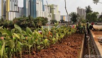 Taman ini juga tentunya untuk menambah suasana danau agar menjadi lebih hijau dan asri.