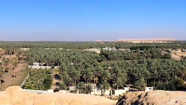 Oase purba di Al Ahsa, Arab Saudi ini sudah menjadi tempat tinggal manusia sejak jaaman neolitik. Adanya 2,5 juta pohon kurma, perkebunan, kanal, mata air, sumur, danau, bangunan bersejarah dan situs arkeologi, menjadikan tempat ini penting untuk dilindungi. (UNESCO)