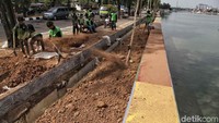 Petugas menguruk tanah merah pada sisi taman yang akan ditanami.