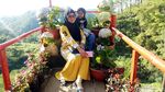 Foto: Hutan Pinus yang Kece, Bukan di Pulau Jawa