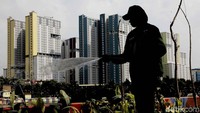 Seorang petugas menyiram tanaman hias yang baru ditanam agar tidak layu.