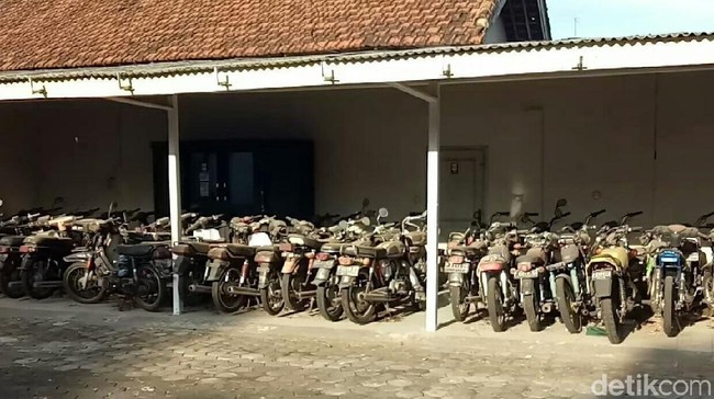 Melirik Prospek Bisnis Sengon Si Pria Tajir Melintir Asal Banyuwangi