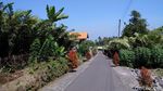 Foto: Traveling ke Sleman, Asyiknya Main ke Desa Ini