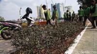 Kehadiran taman itu juga untuk mempercantik kawasan sekitar Danau Sunter.
