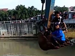 Aksi Penyelamatan Sri yang Tercebur ke Setu Babakan Saat Olahraga