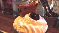 Es krim dari darah Babi ini, muncul jadi kuliner ekstrem di Washington DC, Amerika. Bernama Pigs Blood Sundae, es krim terbuat dari campuran darah Babi dan cokelat. Foto: Istimewa