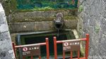 Foto: Bukan di China, Ini di Jepang