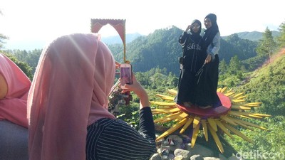Foto: Hutan Pinus yang Kece, Bukan di Pulau Jawa