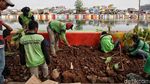 Tanaman Hias Percantik Danau Sunter