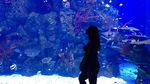 Foto: Gaya Liburan Si Cantik Adzana Bing Slamet