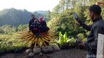 Foto: Hutan Pinus yang Kece, Bukan di Pulau Jawa