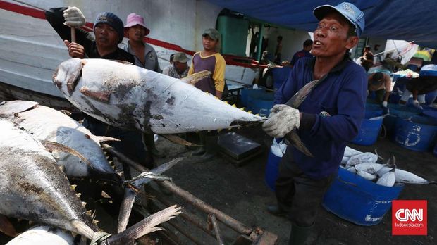 Nelayan 'Keder' Jual Ikan Secara Online