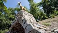 Ini Maxim Gorky Recreation Park alias Strukovsky Garden sejak tahun 1851. Ini adalah taman tertua di Samara dengan banyak bunga, air mancur dan taman rekreasi (Russia Travel)
