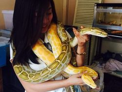 Guru Cantik Hobi Main Ular Curi Perhatian Netizen