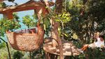 Indahnya Restoran Pohon dengan Panorama Laut Lepas