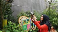 (Shinta/detikTravel)