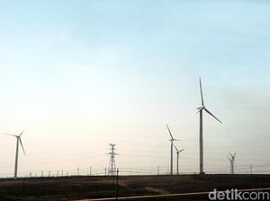 Emiten Prajogo Pangestu Caplok 3 Aset Pembangkit Kebun Angin RI