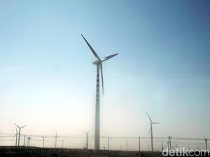 Bukit Asam Ekspansi Bikin PLTS di Pabrik Semen RI dan Kebun Angin di China