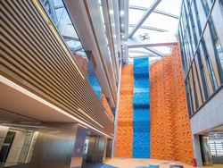 Mengintip Markas Tencent yang Futuristik