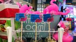 Yuk, Ngeteh Cantik dan Asyik di Kafe Bertema Flamingo Ini!