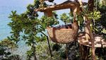 Indahnya Restoran Pohon dengan Panorama Laut Lepas