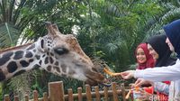 (Shinta/detikTravel)