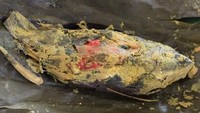 Pepes ikan mas kha Sunda ada yang berbumbu iris dan ada juga yang berbumbu ulek. Daging ikannya gurih dengan rempah lengkap. Cara membuatnya bisa dilihat di sini. Foto: Istimewa