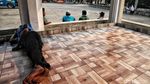 Melihat Makam Mbah Priuk Usai Direnovasi