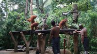 (Shinta/detikTravel)