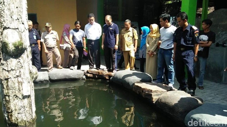 Warga Desak Pemerintah Tangkap Ikan  Arapaima di Sungai Brantas