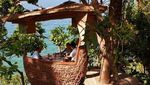 Indahnya Restoran Pohon dengan Panorama Laut Lepas