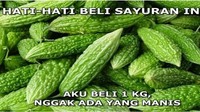 Berisi peringatan, meme yang ini menghimbau semua orang agar hati-hati saat membeli pare karena semuanya pahit. Ya kalau mau manis, belinya apel, bukan pare. Foto: Istimewa