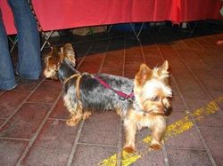 Ringkusan Foto Sempurna di Momen yang Tepat