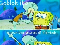 Meme Kocak Tik Tok yang Fenomenal