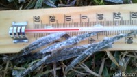 Kondisi suhu di dataran tinggi Dieng diprediksi akan terus turun hingga Agustus mendatang. Bahkan suhu bisa mencapai 0 derajat celsius. 