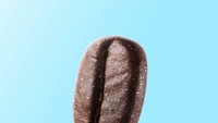 Tahu dong ini apa? Ya, es krim tangkai rasa kopi. Bentuknya sudah mencirikan rasa dari es krim ini, ya.  Foto: Instagram 360brain