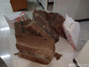 Penjabat Gubernur Sulsel: Rp 30 M di KM Lestari Maju Diasuransikan