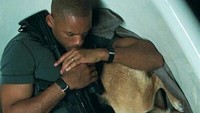 Will Smith ternyata naksir dengan rekannya di film ‘I am Legend’ yakni anjing bernama Abbey. Ia pun berusaha membelinya namun sang pemilik tak mau menjualnya. Dok. Warner Bros