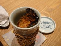 Berani Coba? Koktail Paling Mematikan di Dunia dari Sirip Ikan Fugu