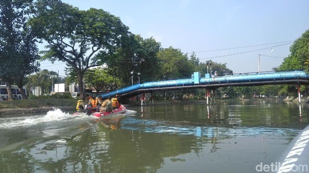 Penyisiran dilakukan untuk memburu arapaima yang diduga masih berkeliaran