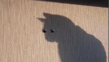 Perpaduan bayangan dan benda yang pas. (Foto: Brightside)