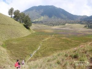 Gunung Semeru Kebakaran di Beberapa Titik!