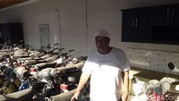 Totalnya ada sekitar 150 unit motor tua yang dimiliki Raja Sengon. Foto: Ardian Fanani