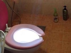 Ringkusan Foto Sempurna di Momen yang Tepat