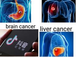 Meme Kocak Tik Tok yang Fenomenal