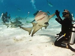 Ringkusan Foto Sempurna di Momen yang Tepat